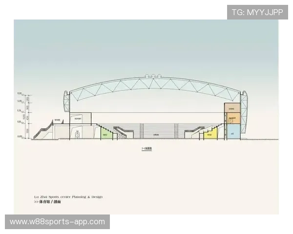 武汉羽毛球队实力分析与表现评估探讨