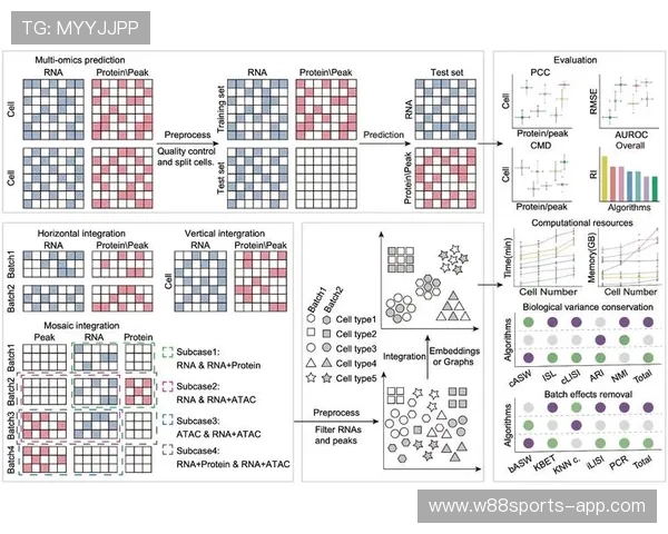 武汉足球队团队协作表现的数据分析与提升策略探讨