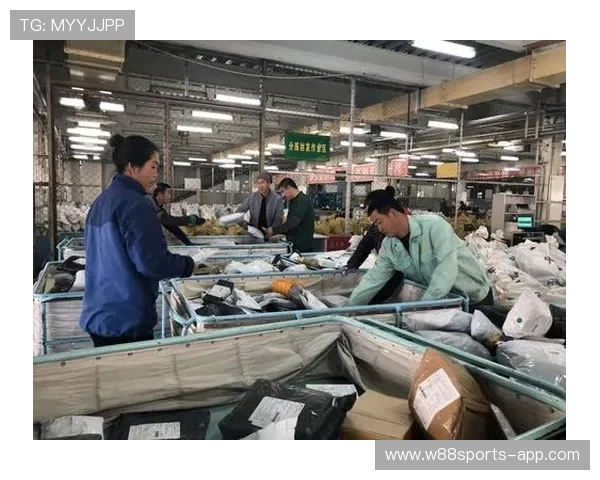 对话陈军：回顾排球生涯中的挑战与成就分享