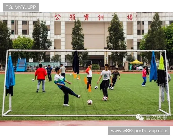 广州排球队耐力变革引发热议全新训练方法助力球队提升竞技水平